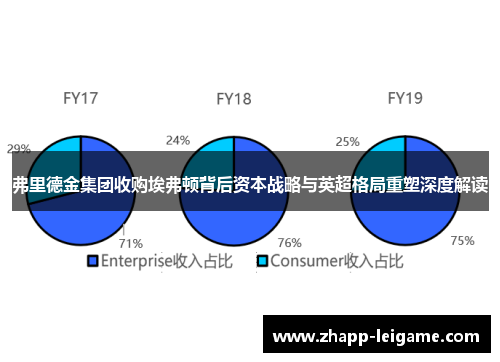 弗里德金集团收购埃弗顿背后资本战略与英超格局重塑深度解读